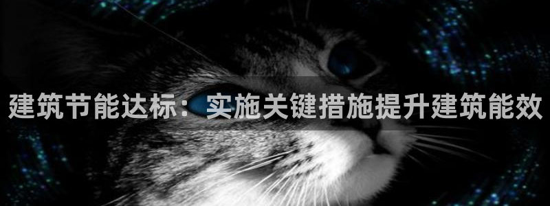 e尊国际娱乐官网地址：建筑节能达标：实施关键措施提升建筑能效